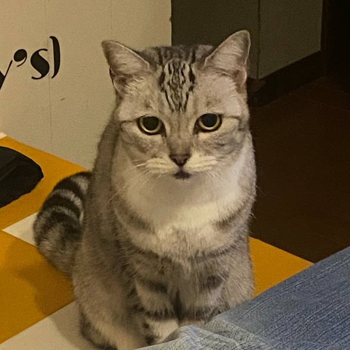 F78a23f6 1368 4a3b a899 55b27279f58e 1731938717738