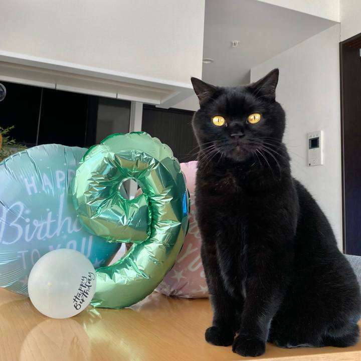 F78a40f5 be7c 4878 8763 07520a74b98a 1728951179118