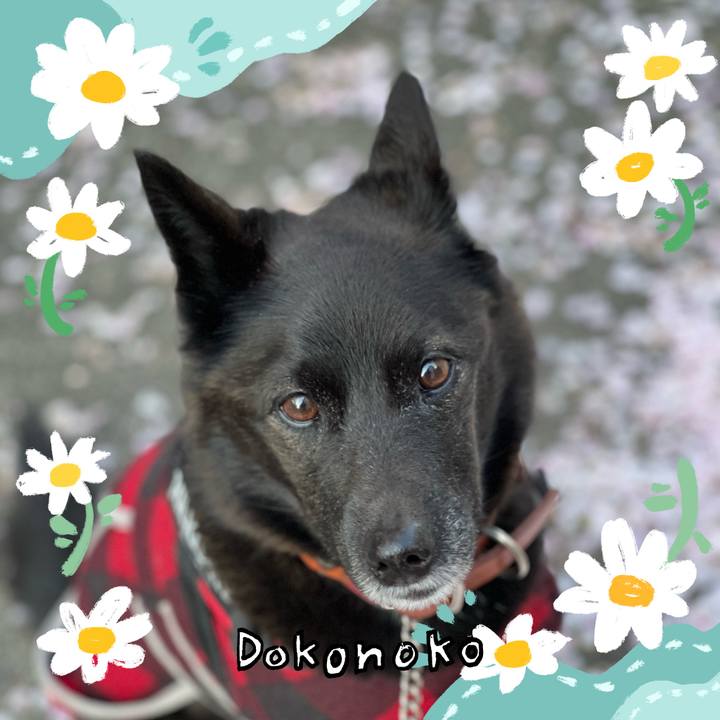 F78a4f20 2780 43bb 8937 4fd322b4ea37 1712755667389