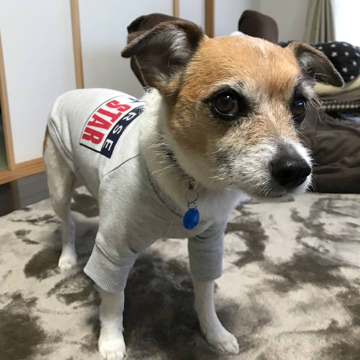 F78a6685 7b5b 4609 bbb4 16cb4db4e884 1580430909134