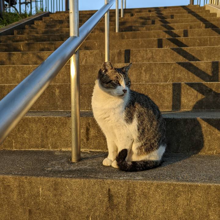 F78a6888 a9eb 4201 9872 57c8bb540f98 1636071417301