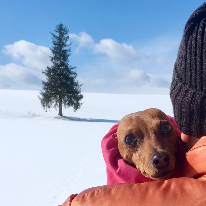 F78aac99 700c 4b54 b6e1 98895956f914 1581239176968