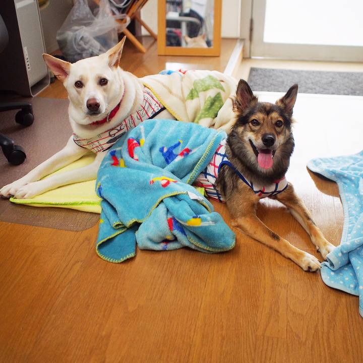 F78b06dc 8822 487b be2e 6be8ae027bb0 1534029658144