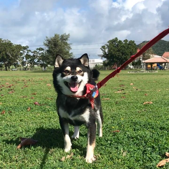 F78b0f9c 2862 4455 8dfe 061d8cc836e8 1550714642040