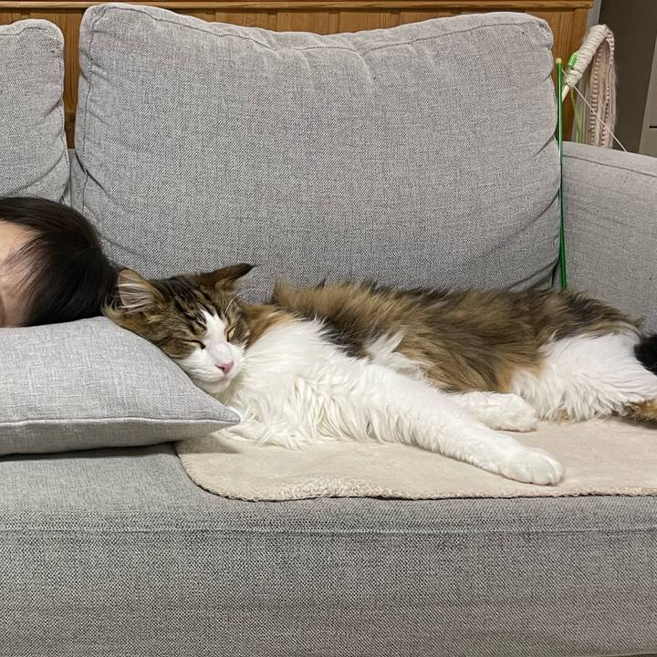 F78b1a8d 30e3 4185 a933 a5ca89022e78 1671710653724