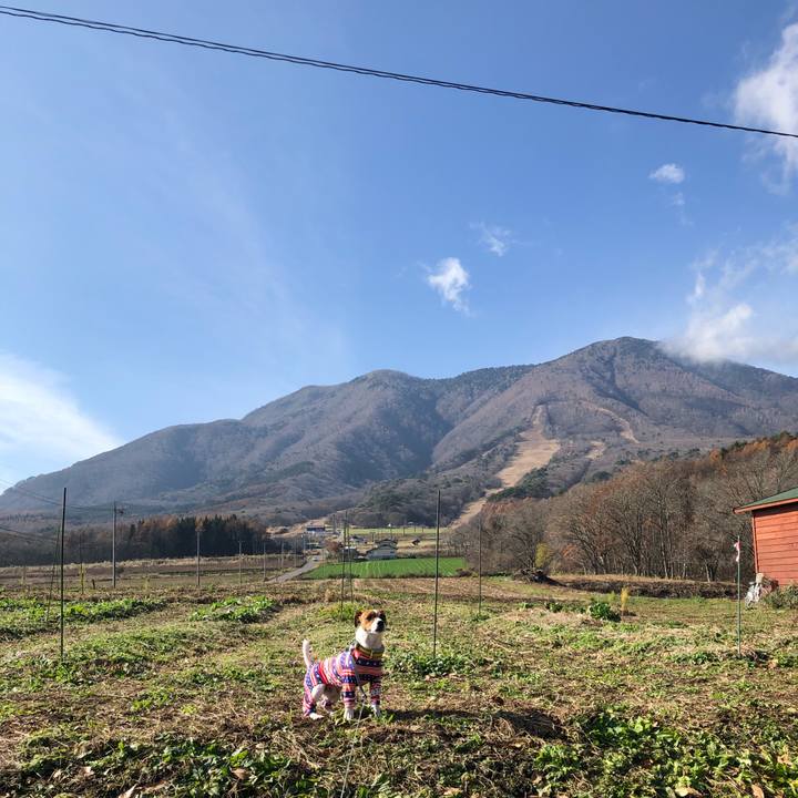 F78b6d01 bbf4 49fe b362 94271130d4b9 1542513888256