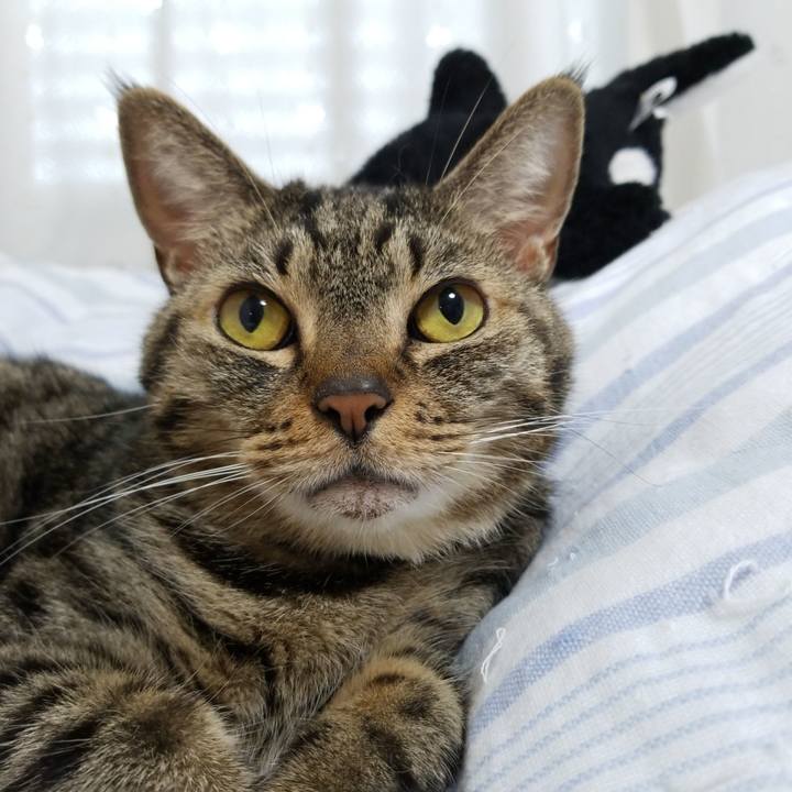 F78b9e84 be3e 43aa abd3 58796fbd100a 1567547262716