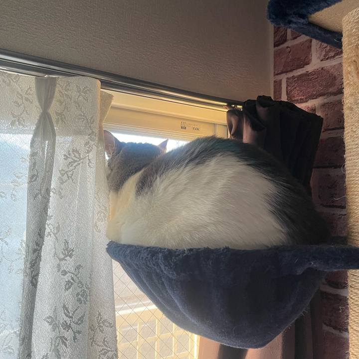 F78ba0d7 21ba 4fcb 909f a6a3b226d0dc 1739570980864