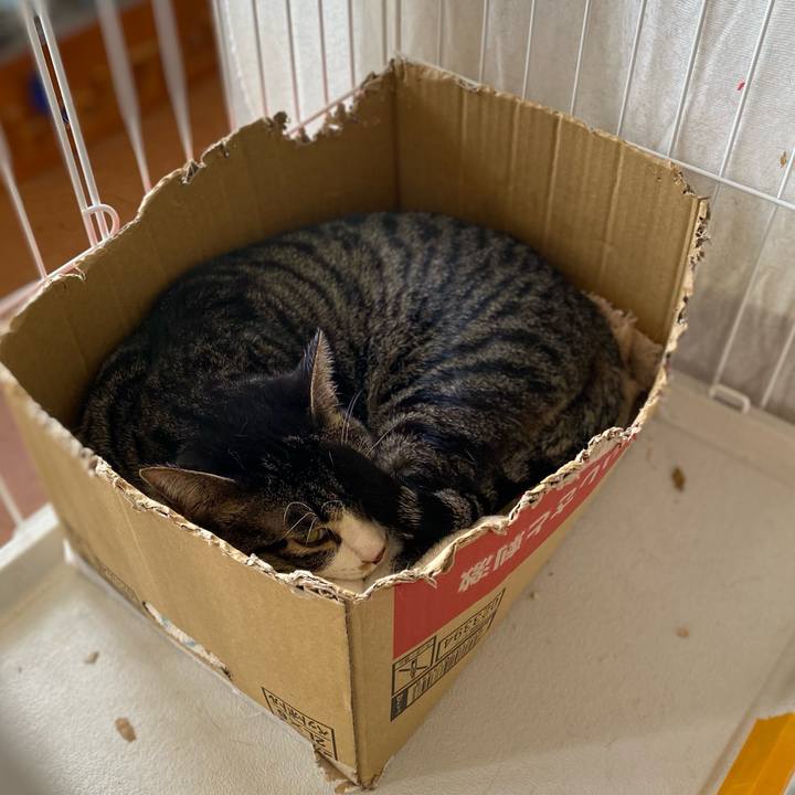 F78baeb5 425c 4213 8b7e b8e0c5762461 1714802843473