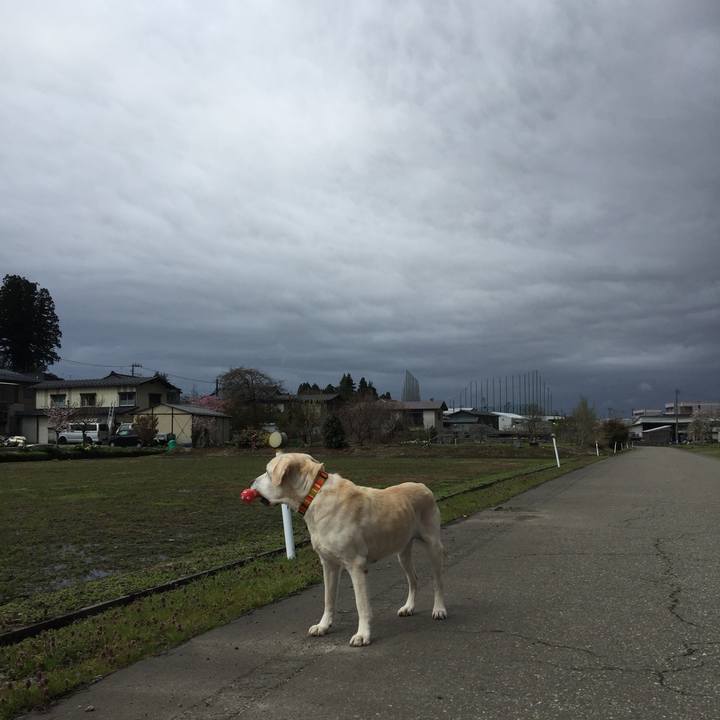 F78bb75e 71a3 434c a3df 0fda182c59a7 1628931140722