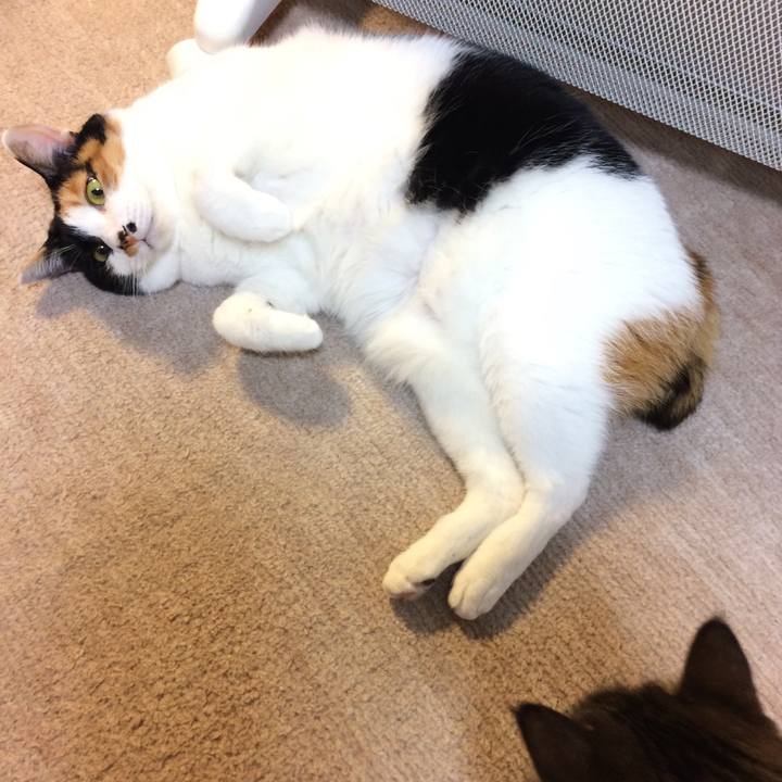 F78bbcd2 7b96 4d28 97ae a44ca386afb8 1577141555221