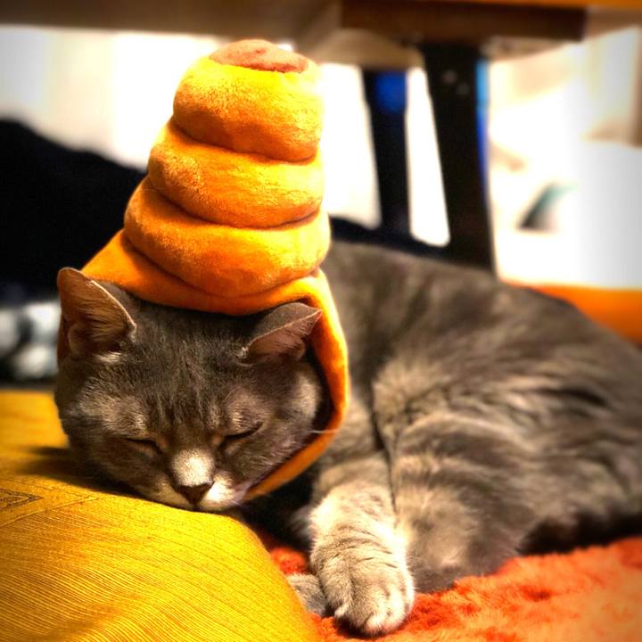 F78bc826 4a91 44d3 9438 c8b28d846e84 1526997431938