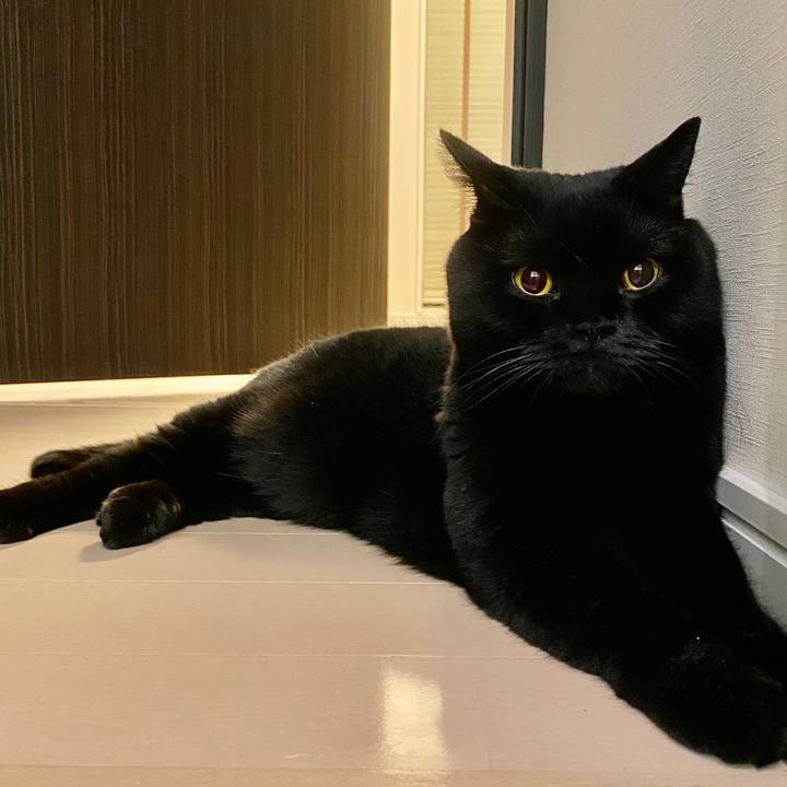 F78be8e8 03a6 477e bbcd 3a6f6a466867 1613393526905