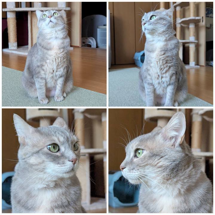 F78bf6b8 3418 4574 a606 185e0ad63c16 1771544718598