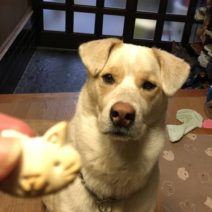 F78c066b 1ffd 4570 a3a5 55039d2f5820 1516143417984