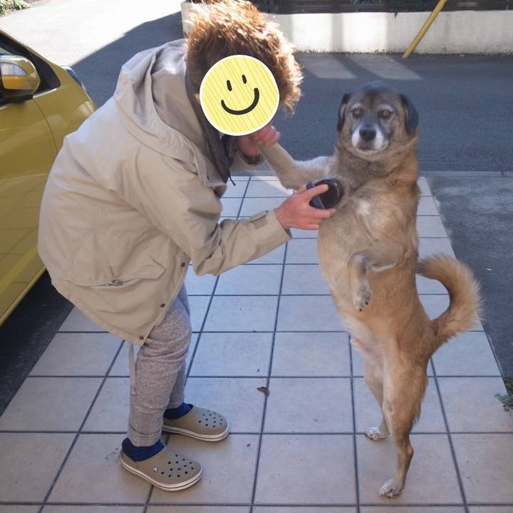 F78c10bd 5af3 4b1d a875 14f0f8f4ded2 1583539584869