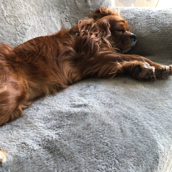 F78c2c95 d39d 43ee a1d2 6c430b94265d 1635943465946