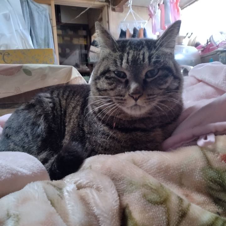 F78c4cb1 9212 470e af9e 43a87a6f7331 1676503005134