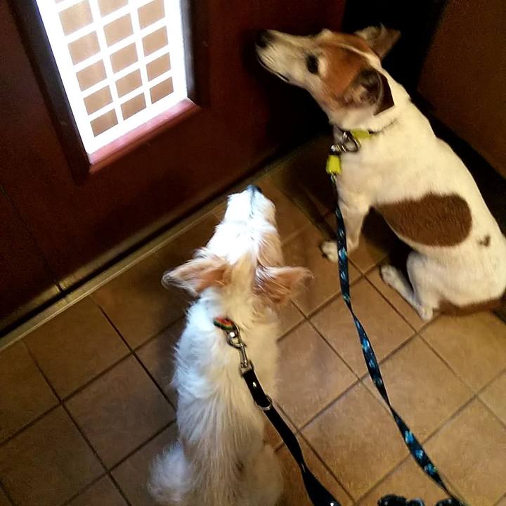 F78c515a 4a56 44b4 9297 02600699a2af 1531017873697