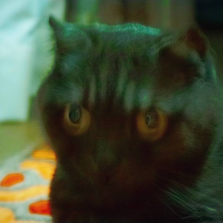 F78c5ba0 17cf 4f86 b44a efca634d4b55 1621252759916