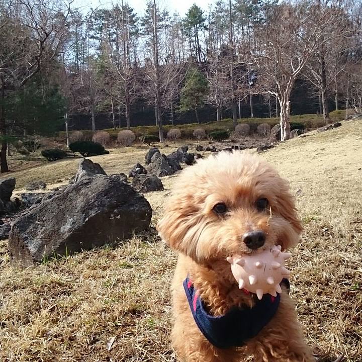 F78c6f76 f31e 46af ba7a c22c0eb5bcbe 1521008624442