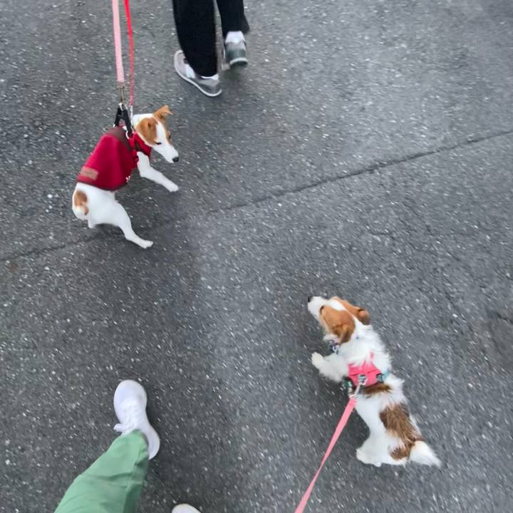 F78c73c5 91fd 4293 acef d0f03b312f6e 1698098861022