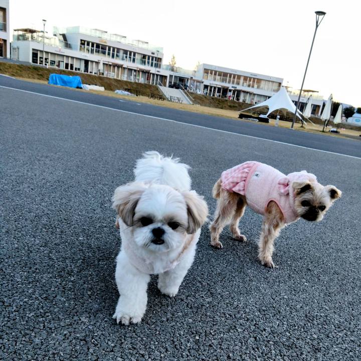 F78ca7ca dd83 4529 a2d2 5cc83d8488c6 1732407430420