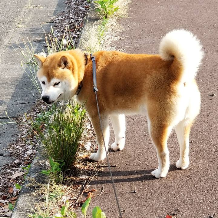 F78caa72 bf0a 40da 950e 5d9eee51fb73 1592207930250