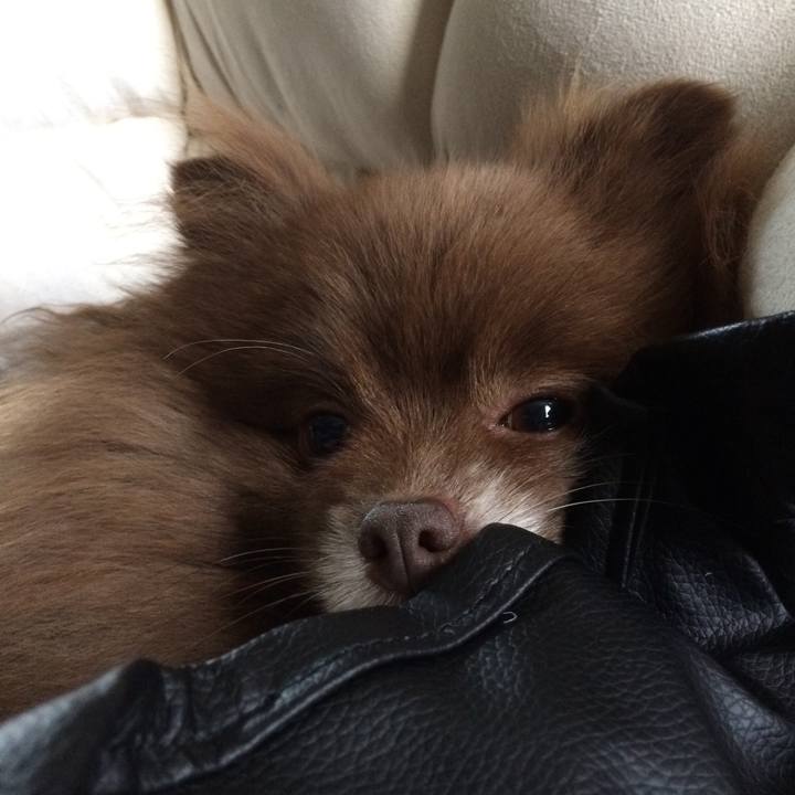 F78cc1f8 874d 419a 9a1b d95c232ab160 1527851543479