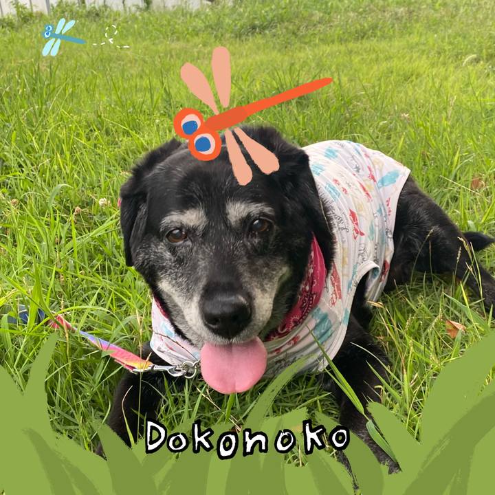 F78cc8bd 4d2e 4925 8d53 92443a6e73cd 1727226024750