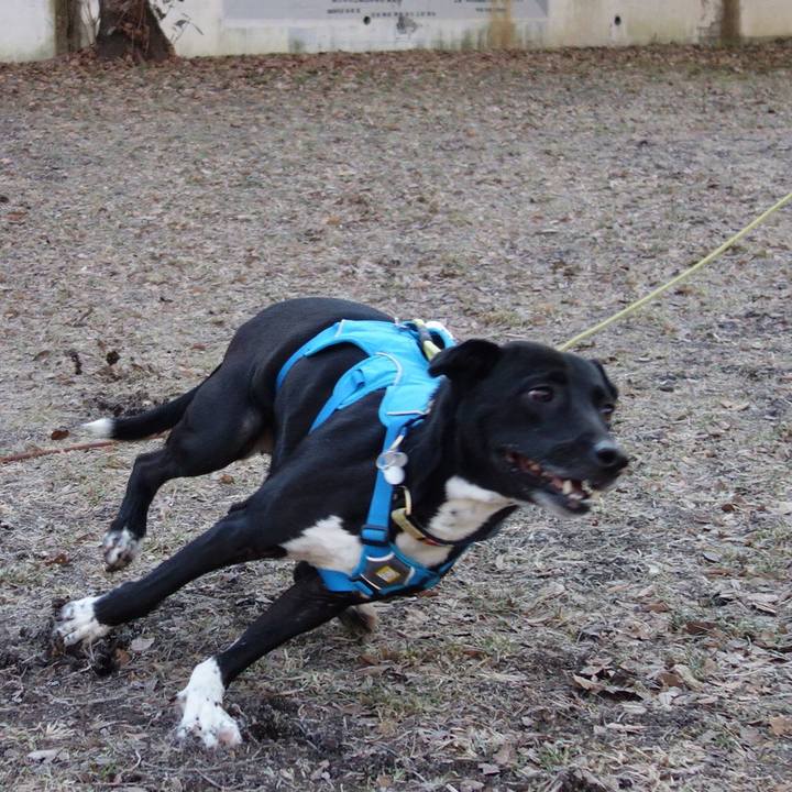 F78ccb65 9ec3 4938 b7d5 fb24b770acd8 1612311101107