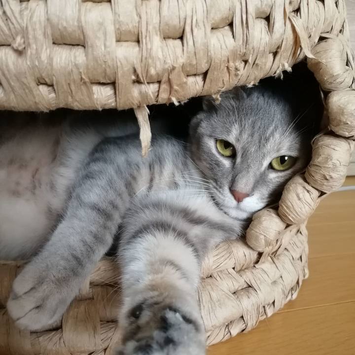 F78cf184 0667 48fa 8050 a37006adecd9 1527679935434