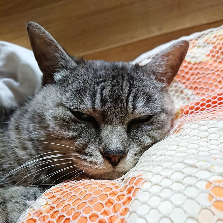 F78d4c3d f4dd 4ad1 ab7e 0f004a340317 1569933772634