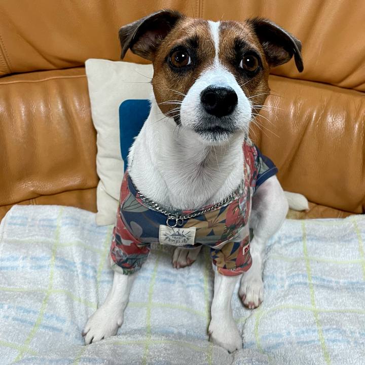 F78d5708 6f03 4be5 baf6 54c323146fd2 1628938413843