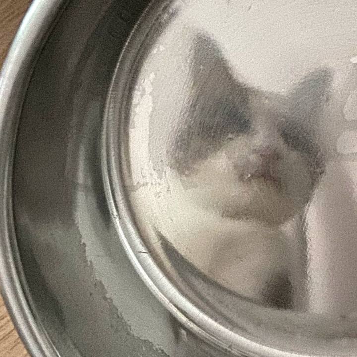 F78d5b00 f9c8 4019 b9ea 6a0152e123fa 1571131349503