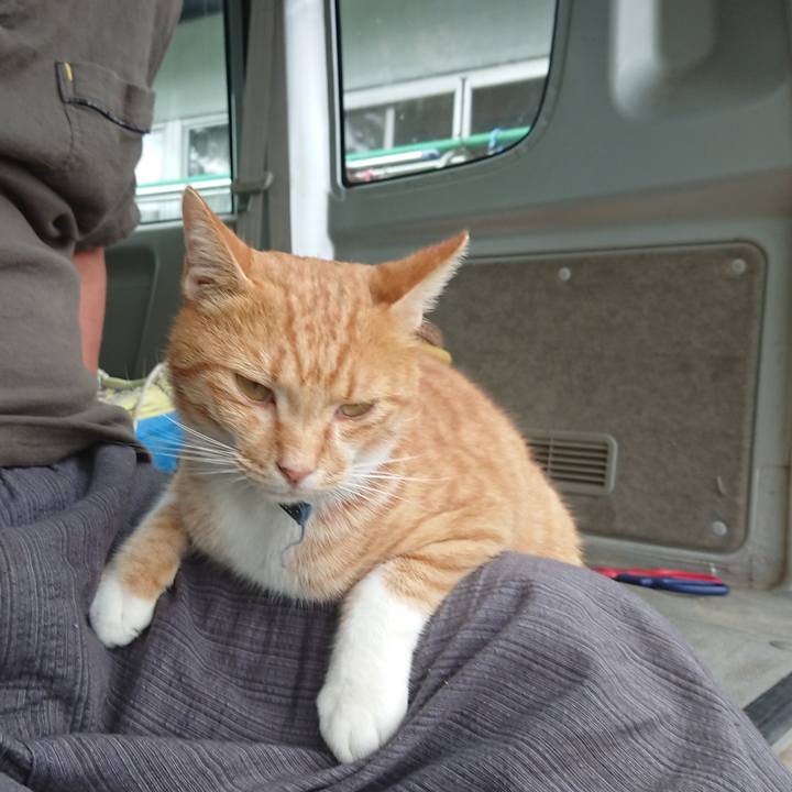 F78d6b6d ec24 4e8e ae46 8a0096f2d8f1 1599978834924