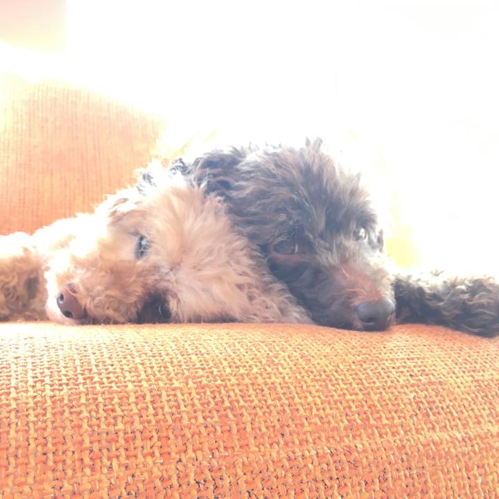 F78d75ee e744 4cc6 abe1 020537a9deca 1586351659968