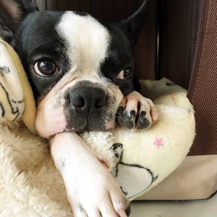 F78d908c bfd8 44c1 bee2 8979b883c5d6 1514505219074