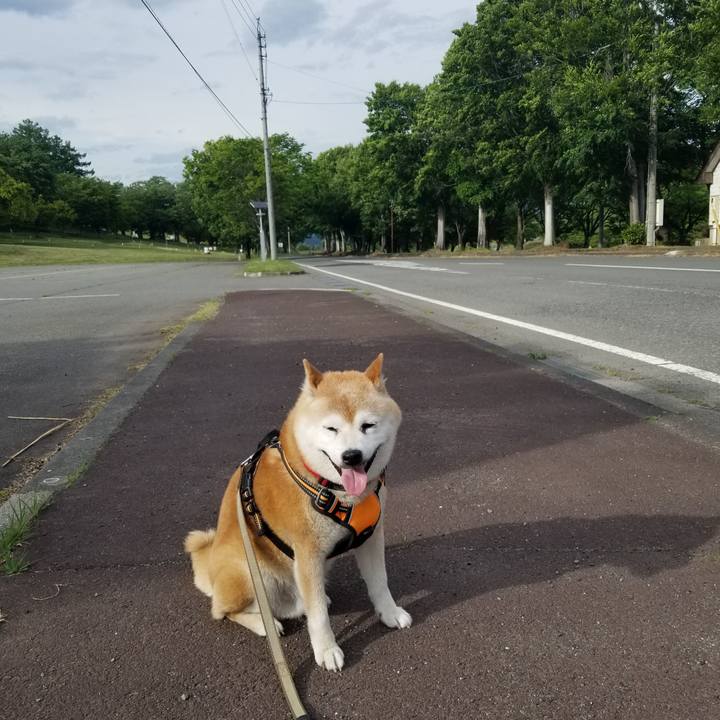 F78d9b3e e783 4a88 b656 be76367ff7e6 1716795252914