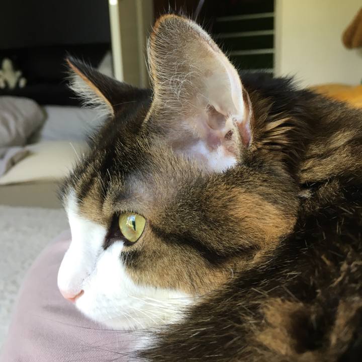 F78d9dda 0cc1 4cab 9521 11b849610fa5 1533955618482