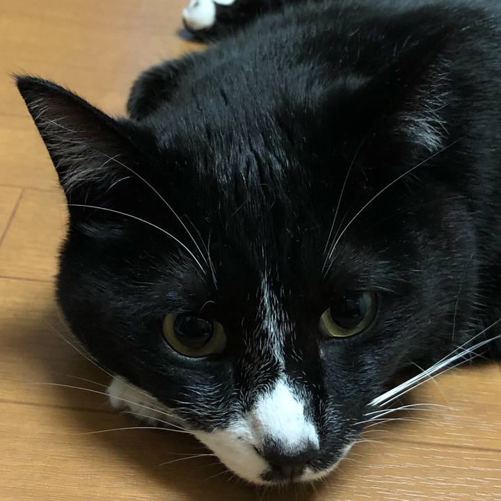 F78da0b3 f077 4082 a429 971e104f58c7 1588387614050