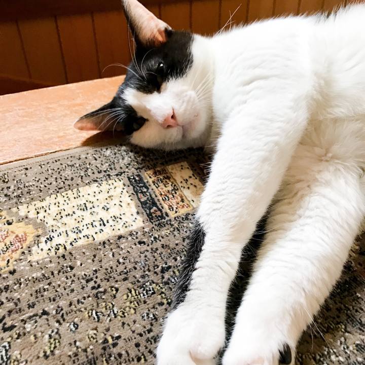 F78da1a7 e7be 4458 a0b1 e95ca8a2eab3 1533219592688