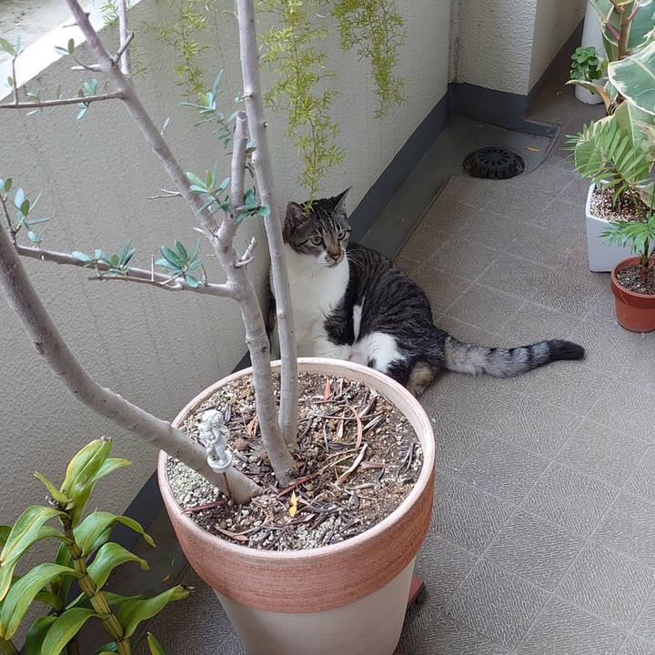 F78ddc58 877f 4369 bd3c 908ec7c6f06d 1699663489409