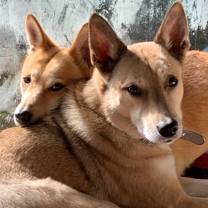 F78dfdbe db1d 431e a21b 2191f00c3b27 1611142388381