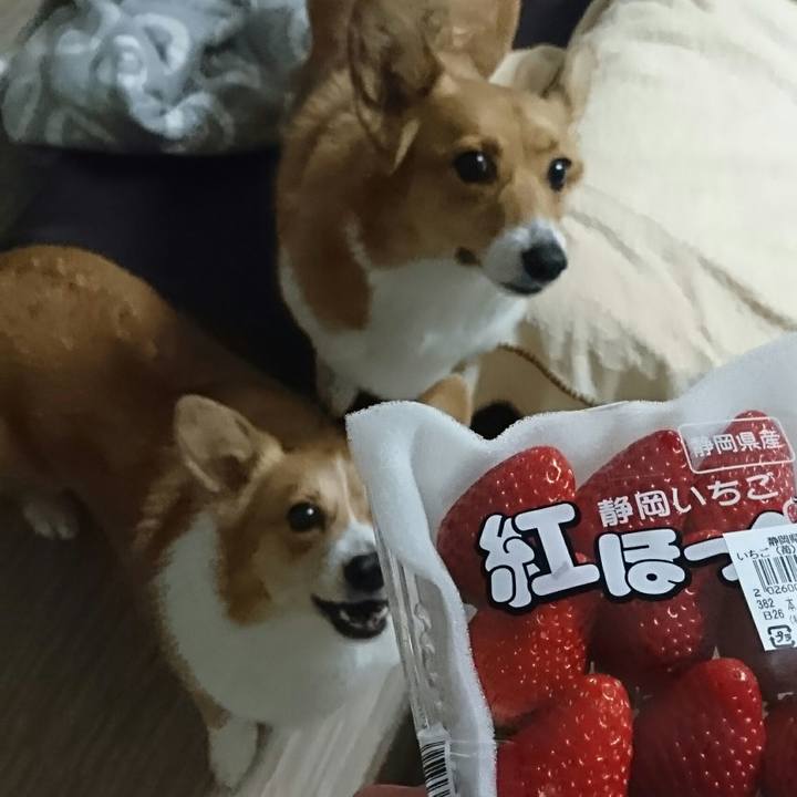 F78e3983 06c7 445a 8f61 e3b7ea3bafaf 1551335042097