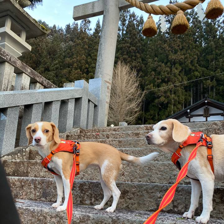 F78e45b1 23f4 4218 827c c40030ffa2ae 1576363179492