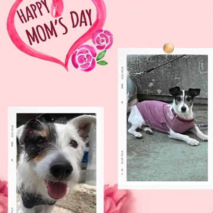 F78e4d10 dfcf 4f1e a8d6 4e1c2be12e7c 1746883658490