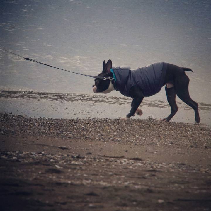 F78e55ad 97e4 4349 93f9 57456ecdba26 1514093918198