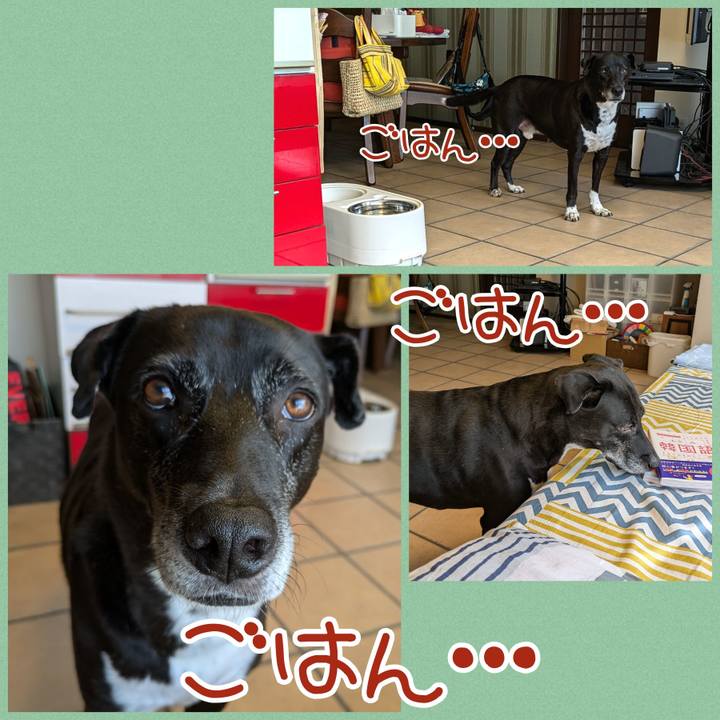 F78e7289 4ec4 4e35 a303 19f5c7c6e9e2 1725839445454