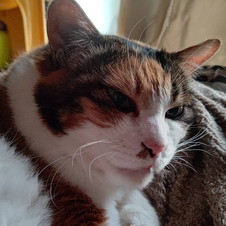 F78e76cd c605 450d bca5 b002ed3b41ae 1630036439865